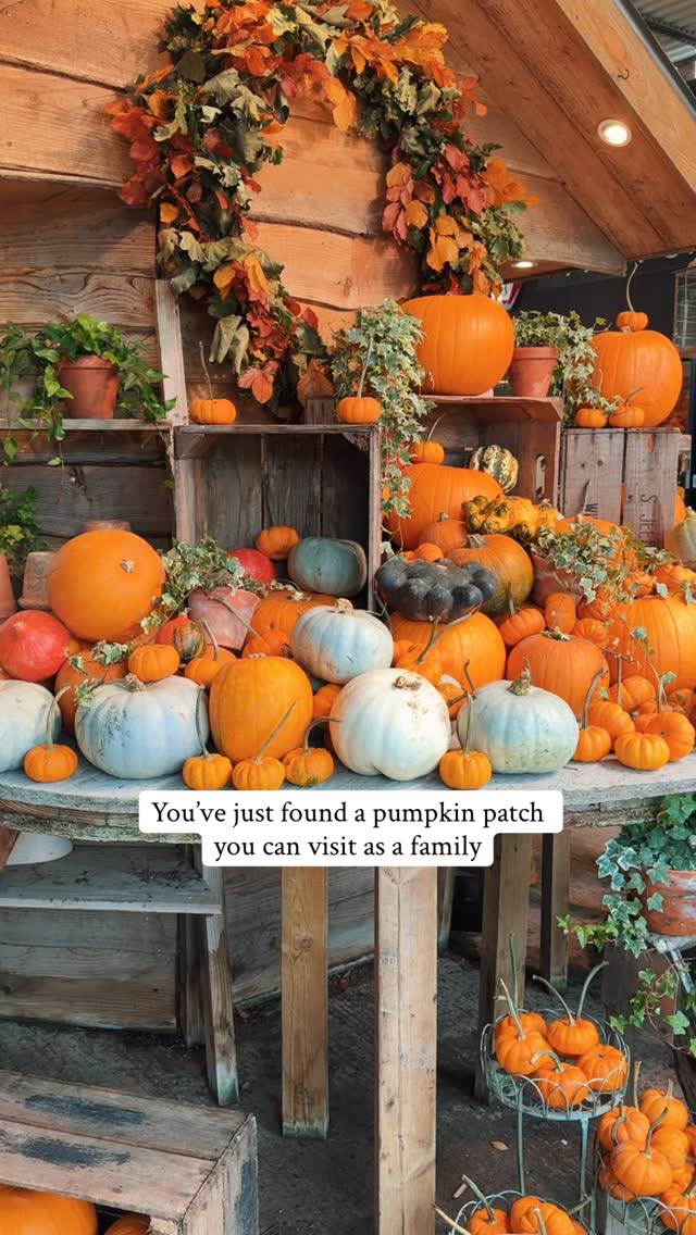 Jolly Nice Farm Shop's Family-Friendly Pumpkin Patch