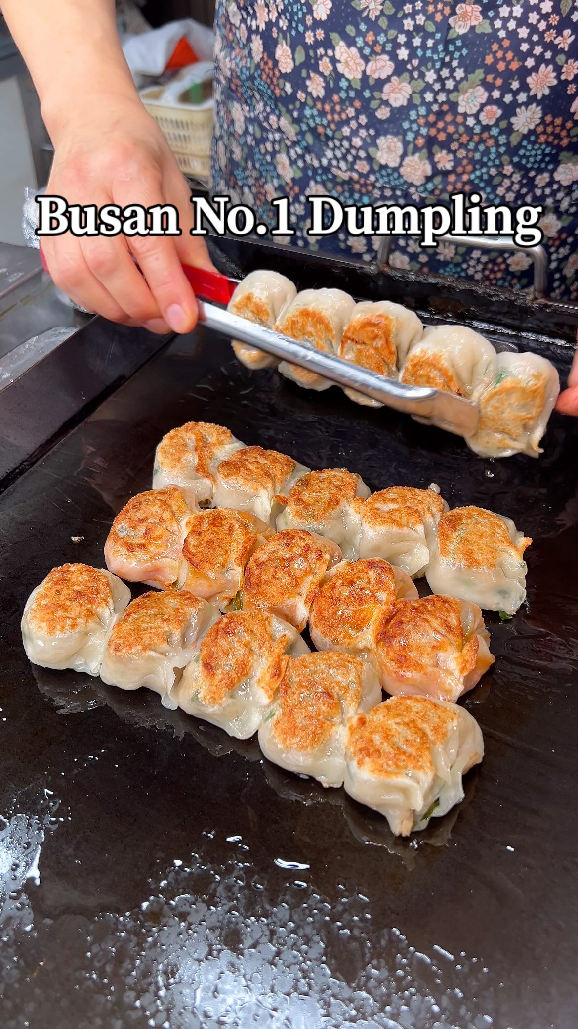 Busan's Beloved Dumpling Restaurant