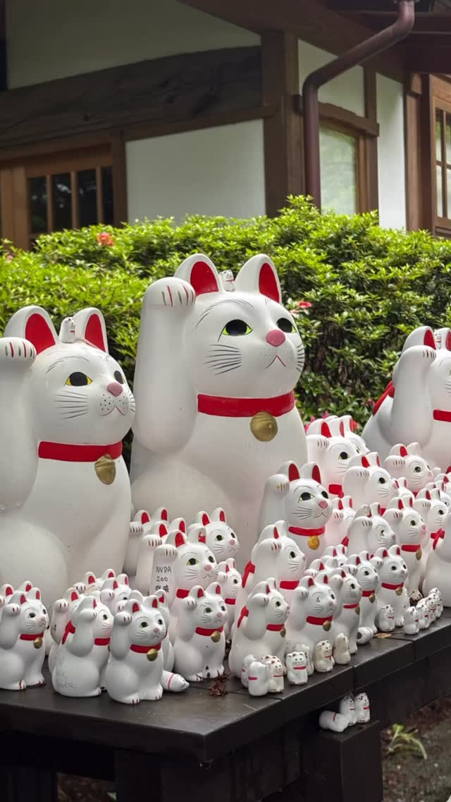 Japan Travelogue: Sights, Food, and Activities