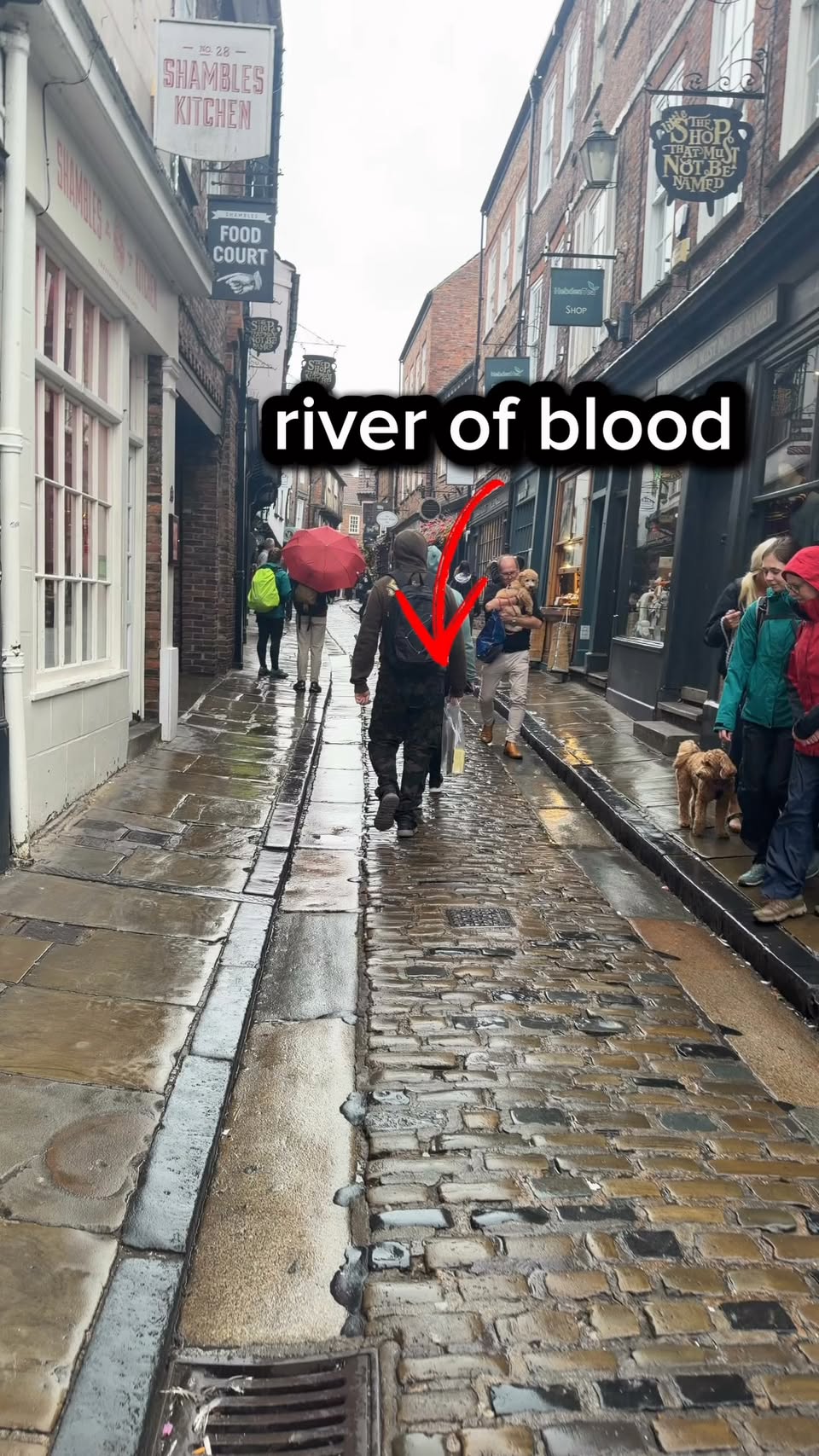 Medieval Shambles And Harry Potter-Themed Shops