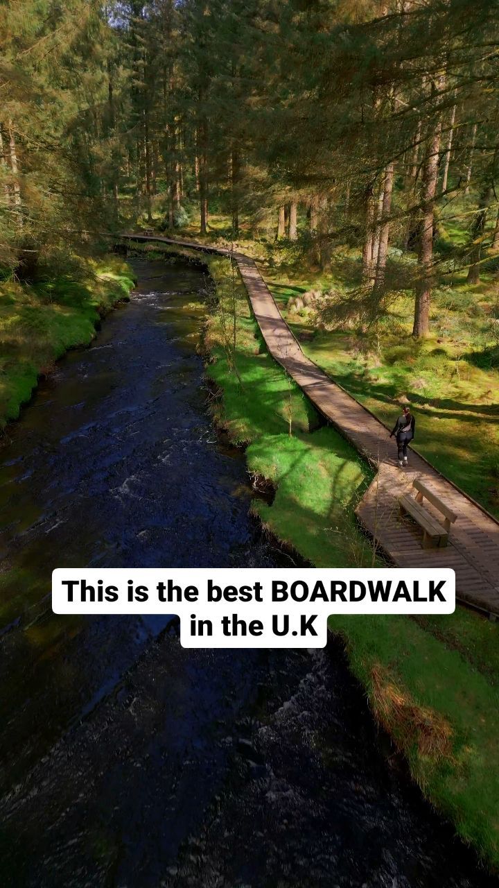 Hafren Forest's Picturesque Boardwalk