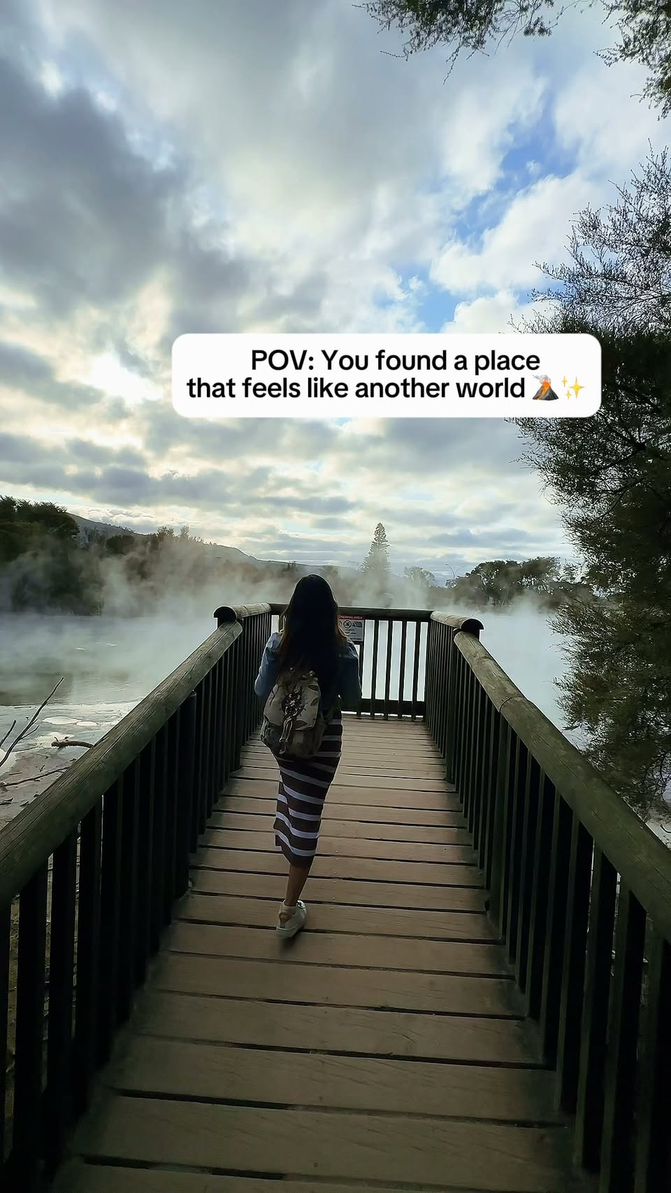 Rotorua's Geothermal Park With Mud Pools