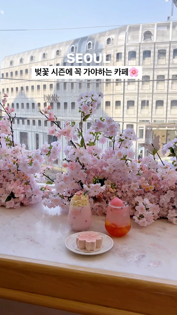 Dasique Cafe Cherry Blossom Delights