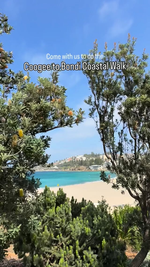 Sydney's Iconic Coastal Walk From Coogee to Bondi