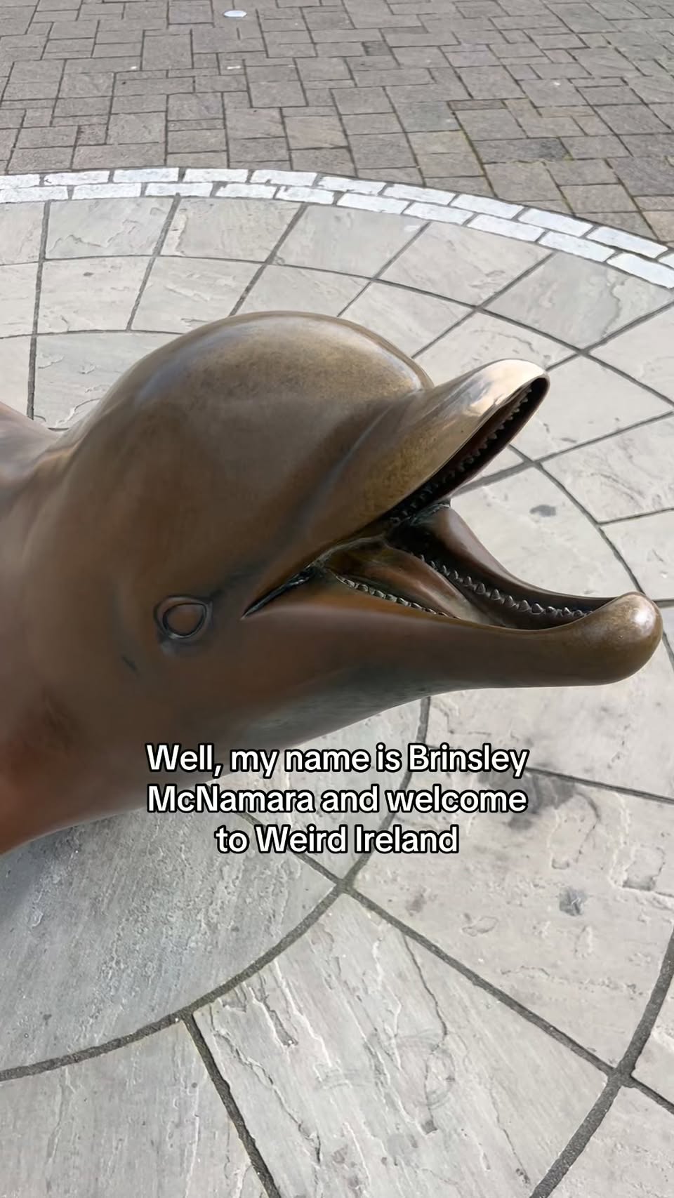 Dingle Town's Dolphin Fame and Memorial