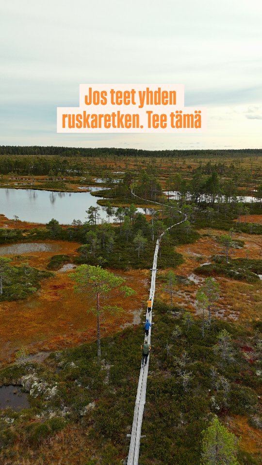 Autumn Boardwalk Hike in Kauhaneva-Pohjankangas