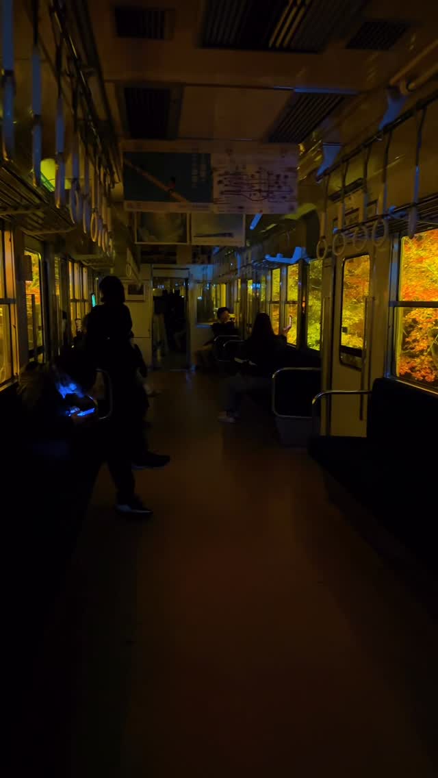 Kyoto Autumn Foliage Train Ride