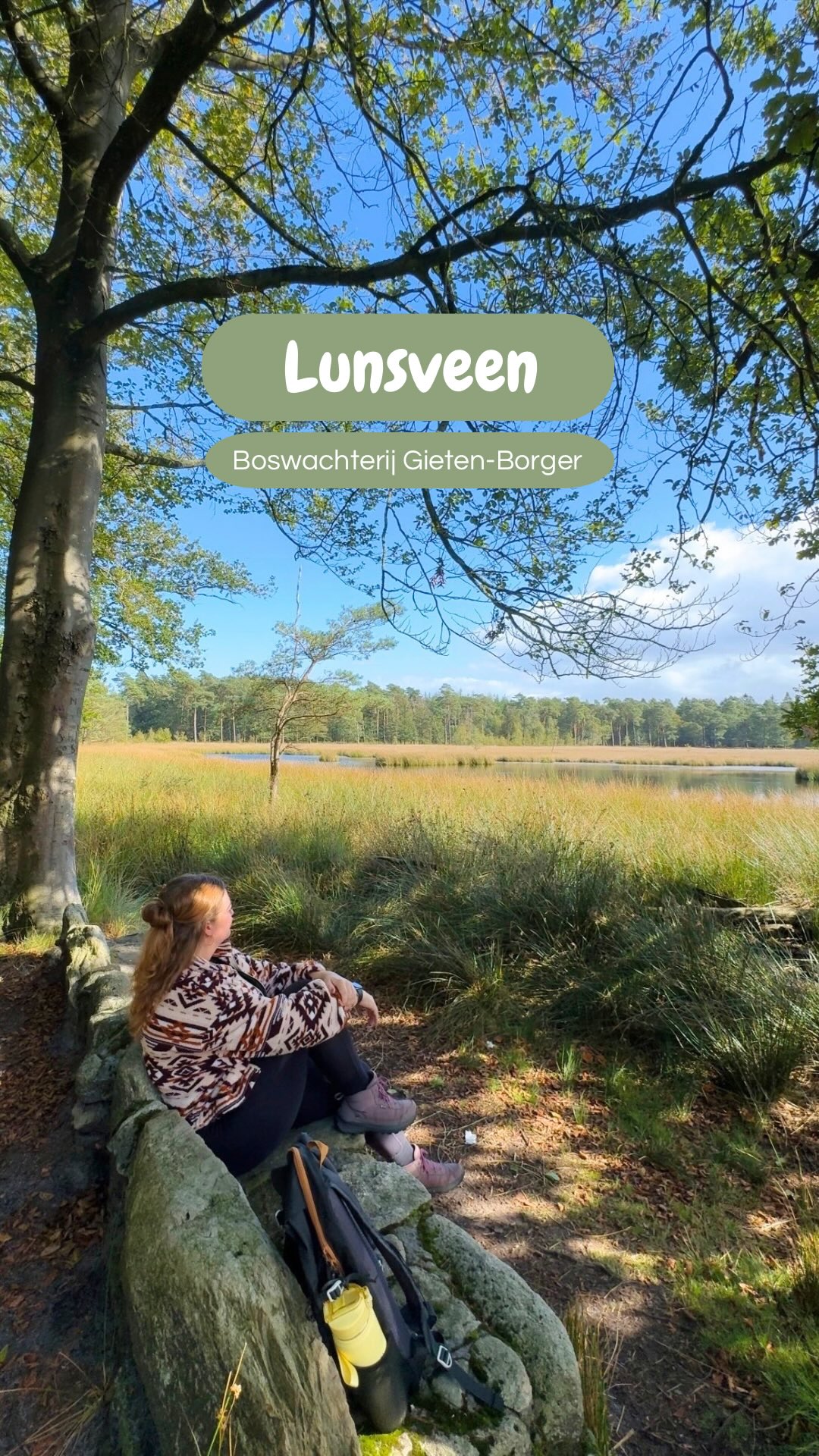 Drenthe Nature Walks: Lunsveen, Boswachterij Gieten-Borger