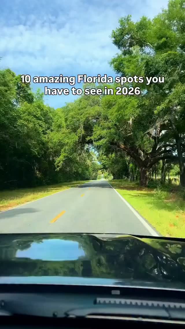 Florida's Top Attractions: Springs, Beaches, and More