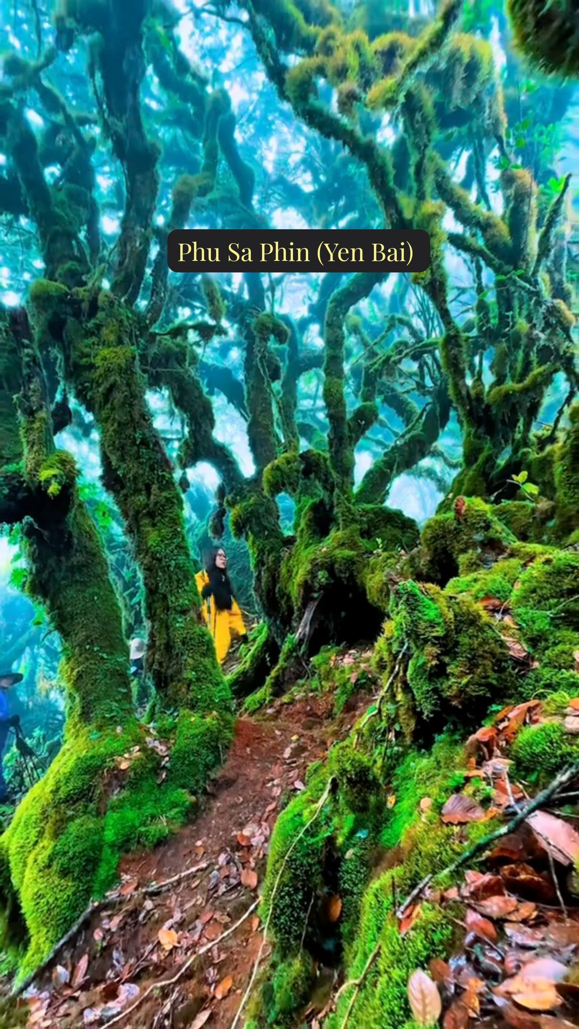 Northern Vietnam's Hidden Waterfalls and Mountain Views