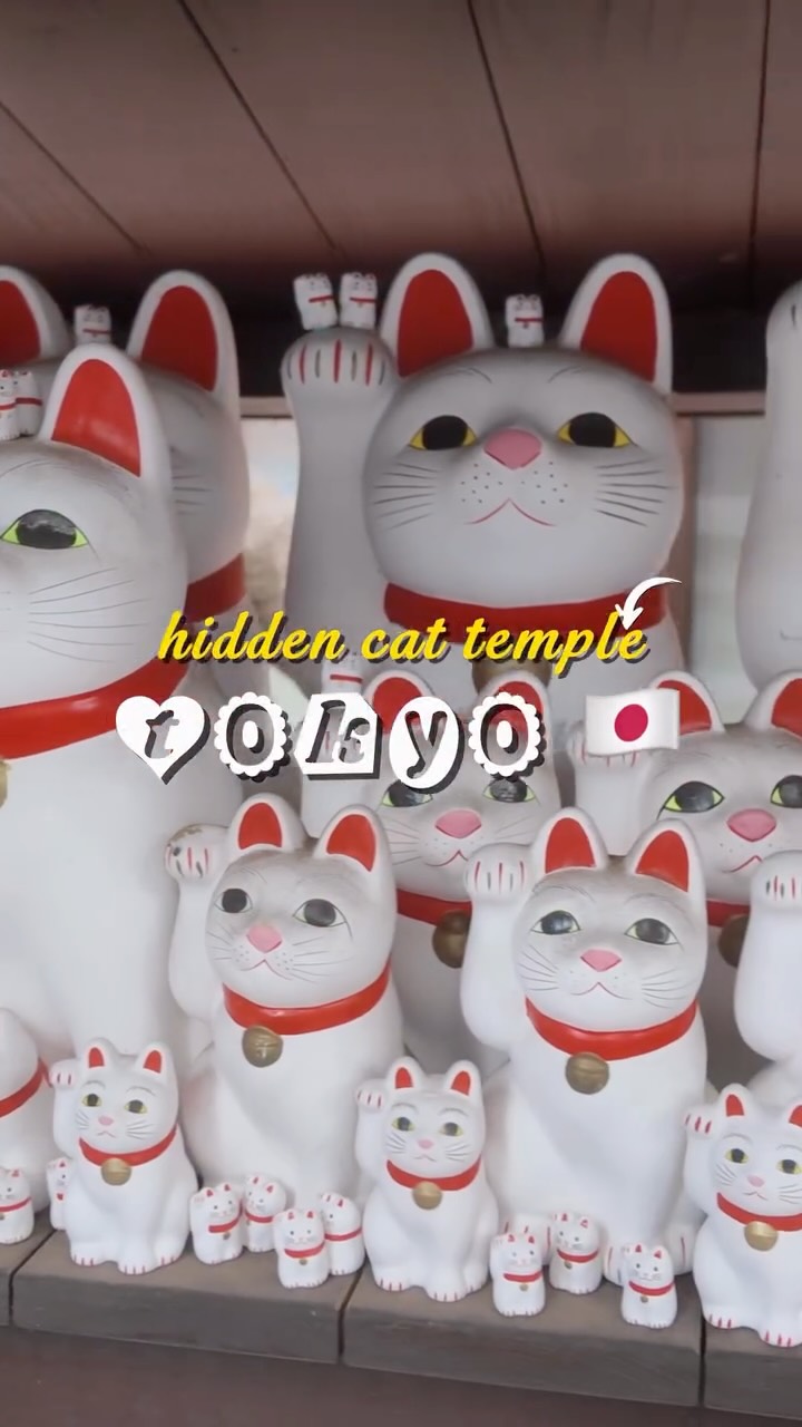 Tokyo's Lucky Cat Temples and Bohemian Neighborhood