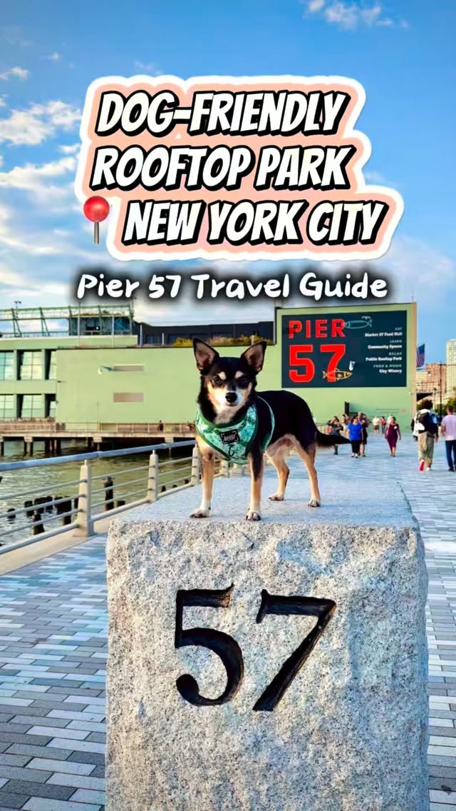 New York City's Dog-Friendly Hudson River Piers
