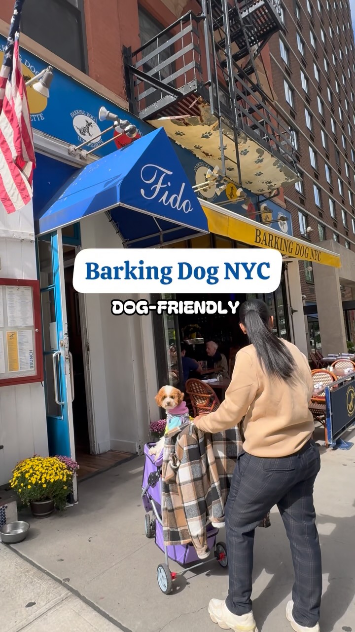 NYC Restaurant Celebrates Dog-Friendly Anniversary