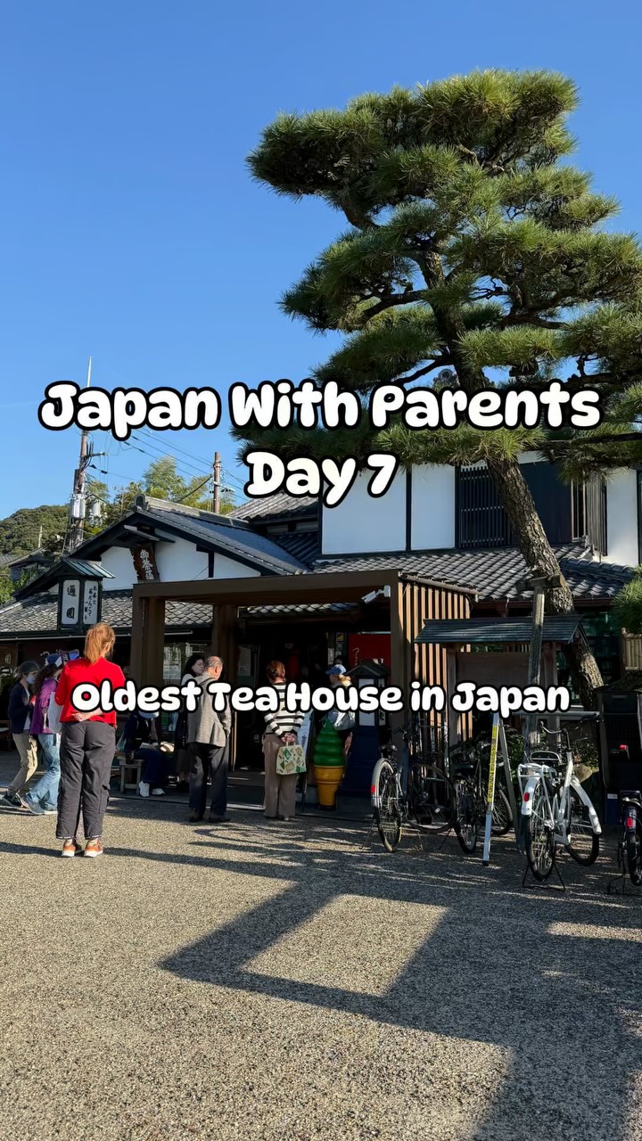 Kyoto and Uji Tea and Temple Exploration