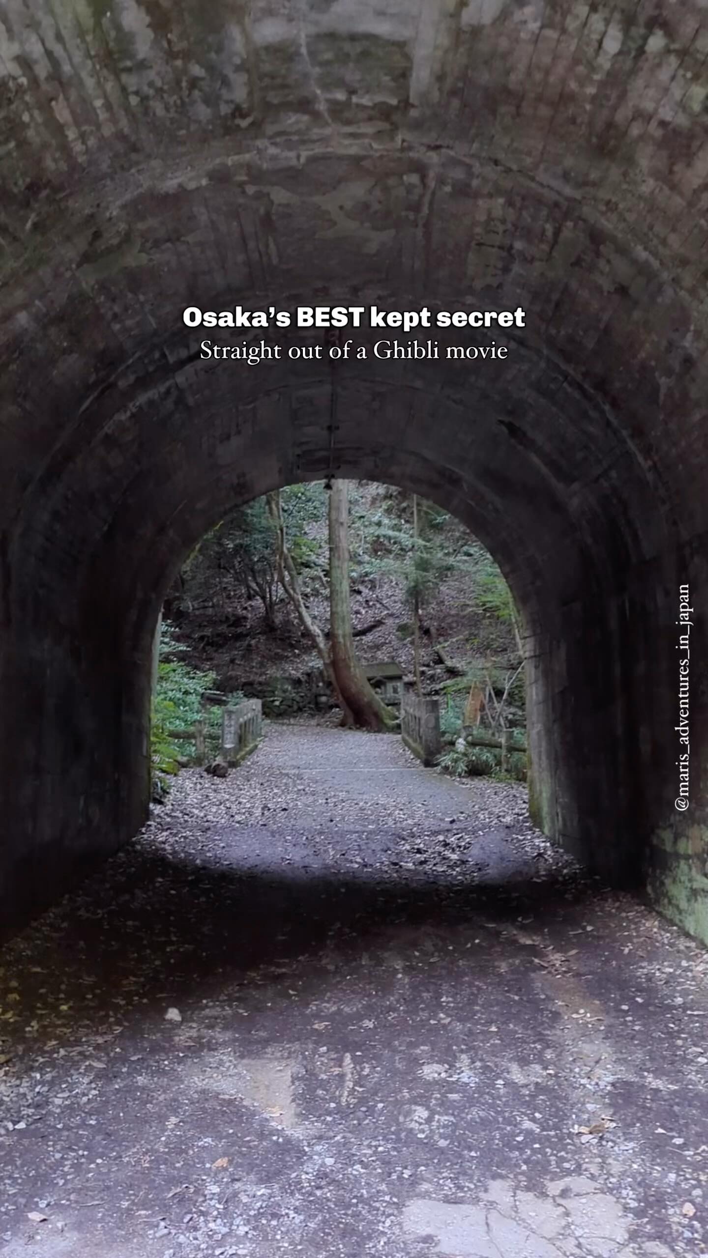 Enchanting Minoo Park and Waterfall Near Osaka