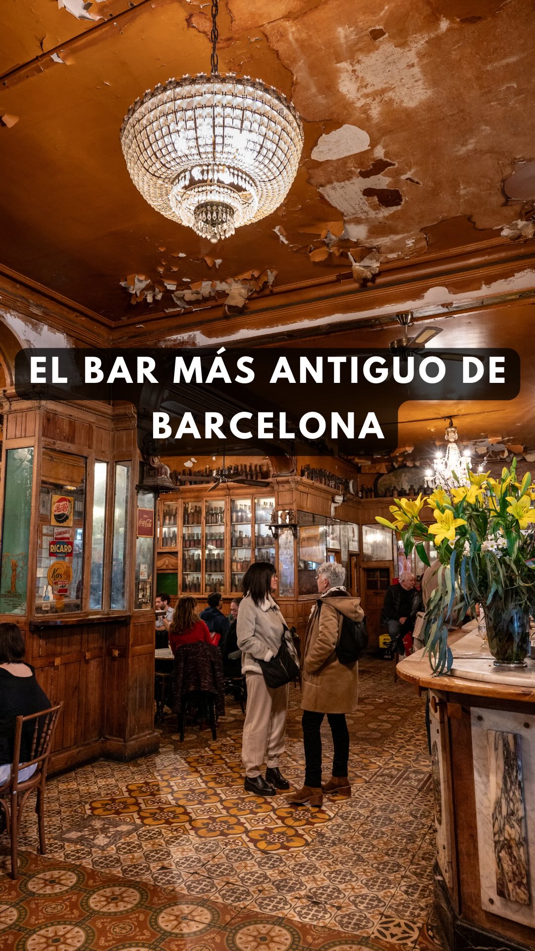 Barcelona's Historic Bar Marsella Features Absinthe Service