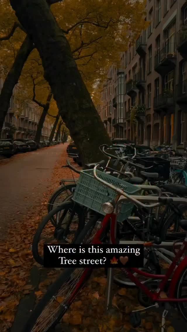 Fairytale Street Lomanstraat in Amsterdam