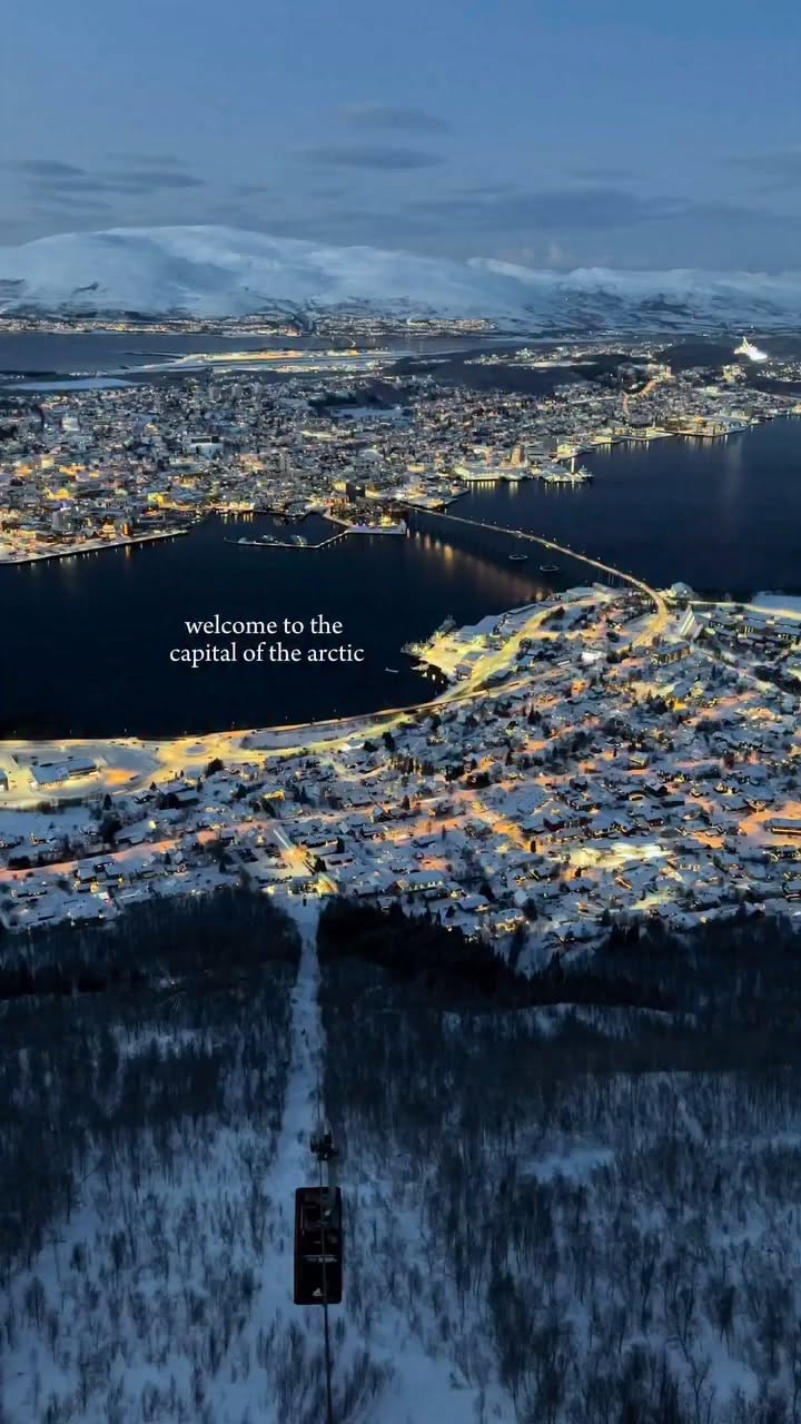 Arctic Cafes and Sauna Experiences