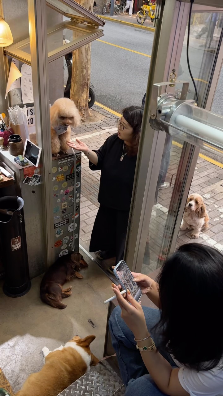 Shanghai Dog-Friendly Coffee Shop