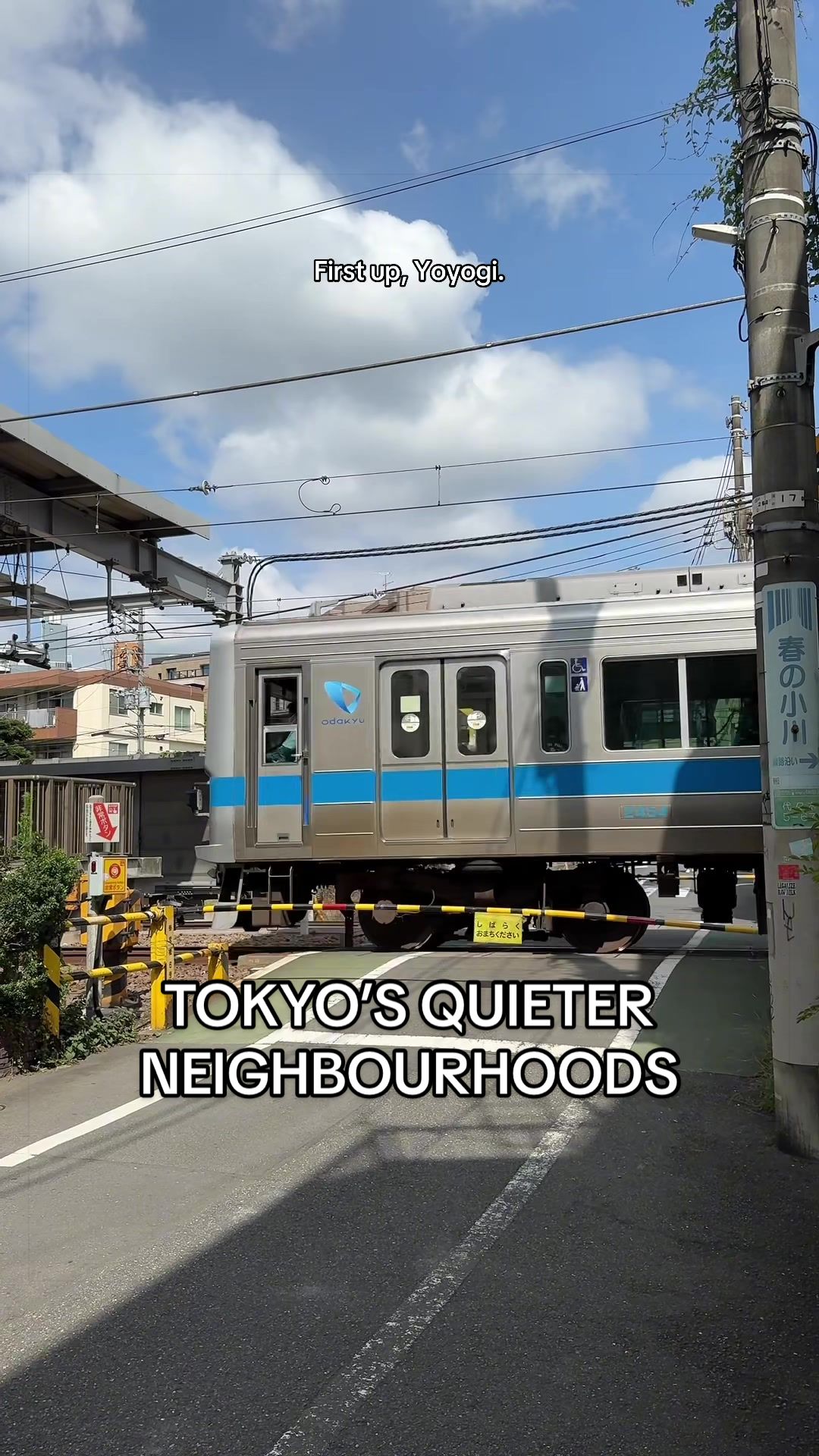 Tokyo's Quiet Neighborhoods: Cafes, Shops, and Parks