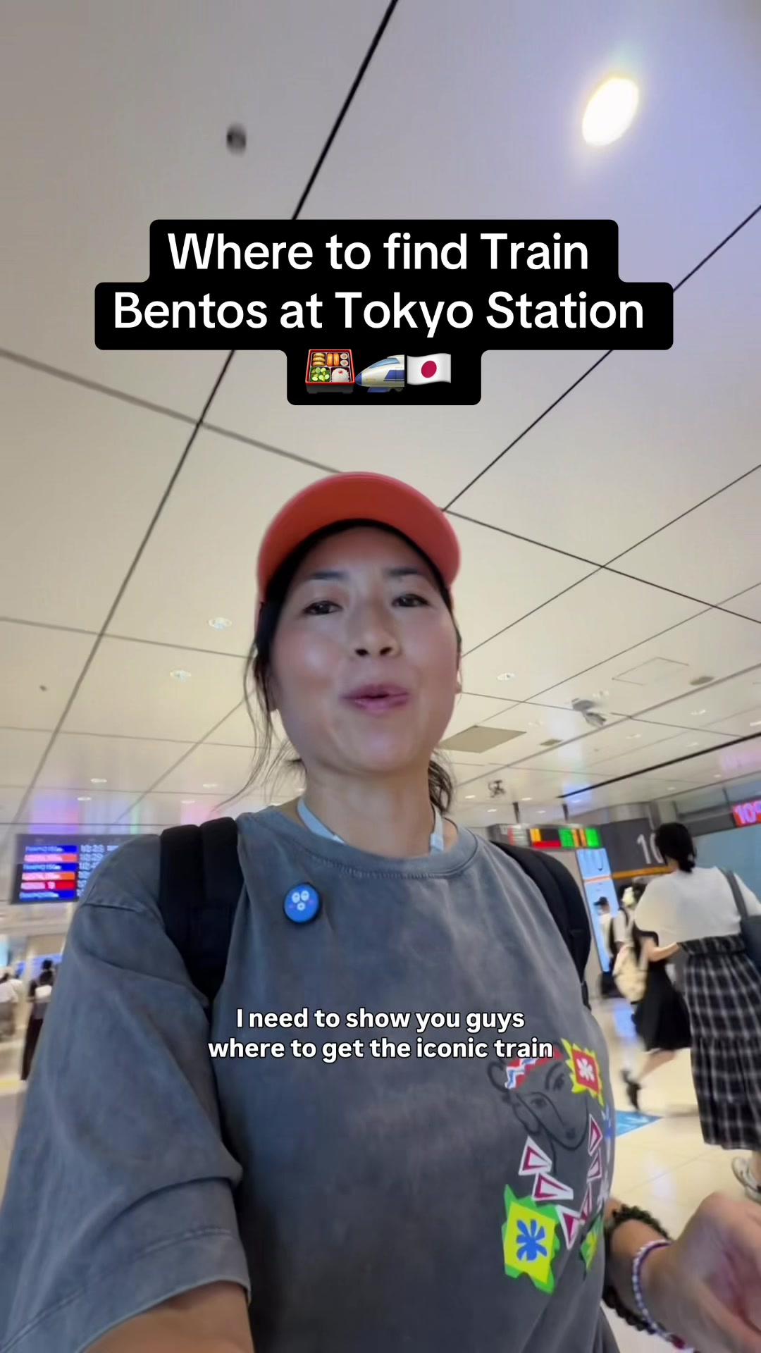 Tokyo Station's Diverse Bento Box Offerings