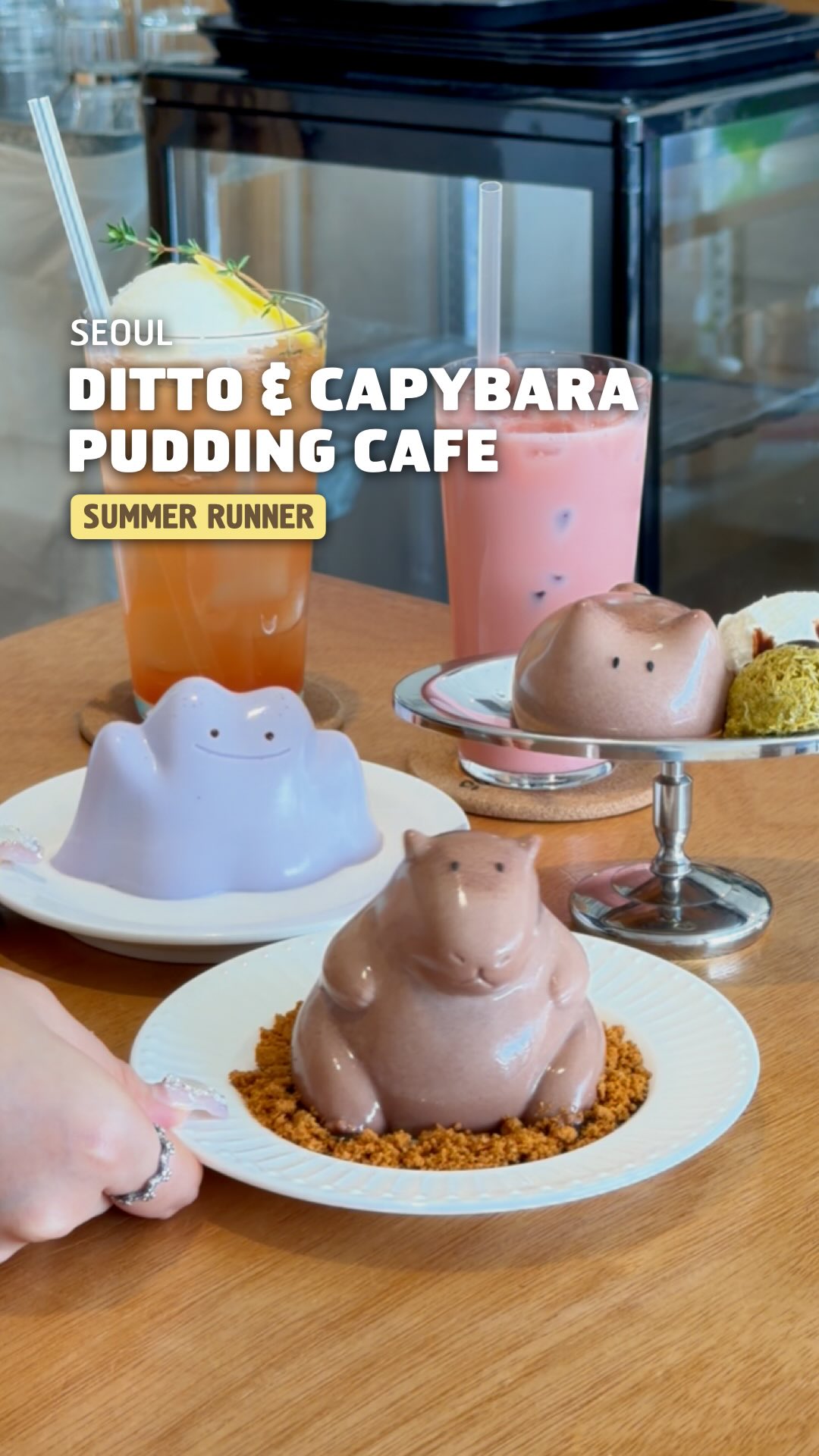 Cute Ditto and Capybara Themed Cafe in Seoul