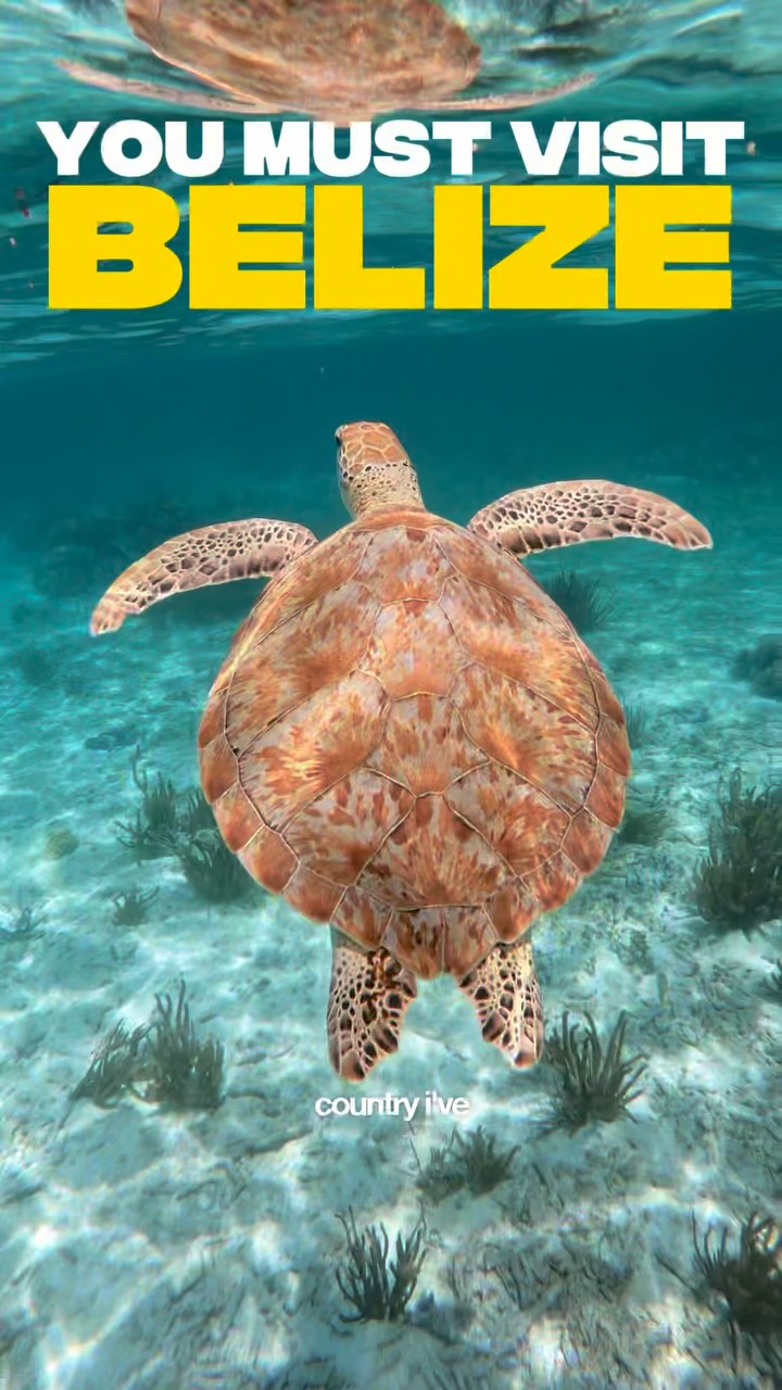 Belize Itinerary: Ruins, Reefs, and Waterfalls