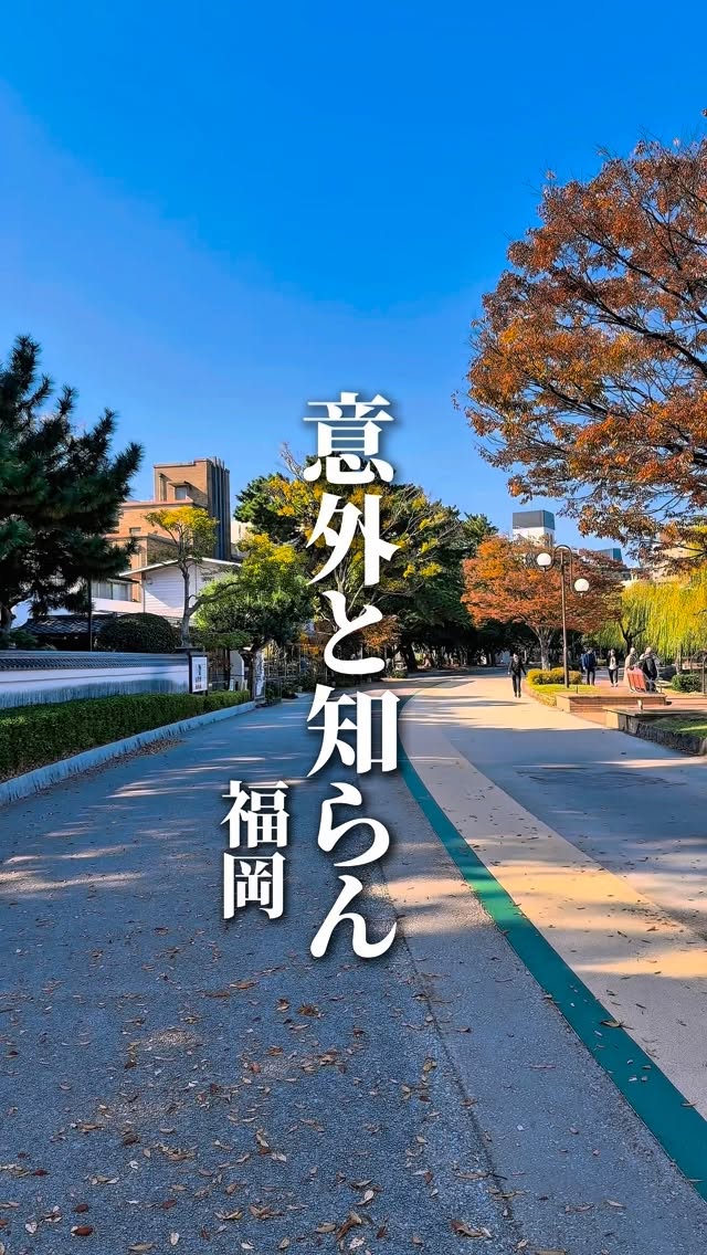 Cafes With Park Views In Fukuoka