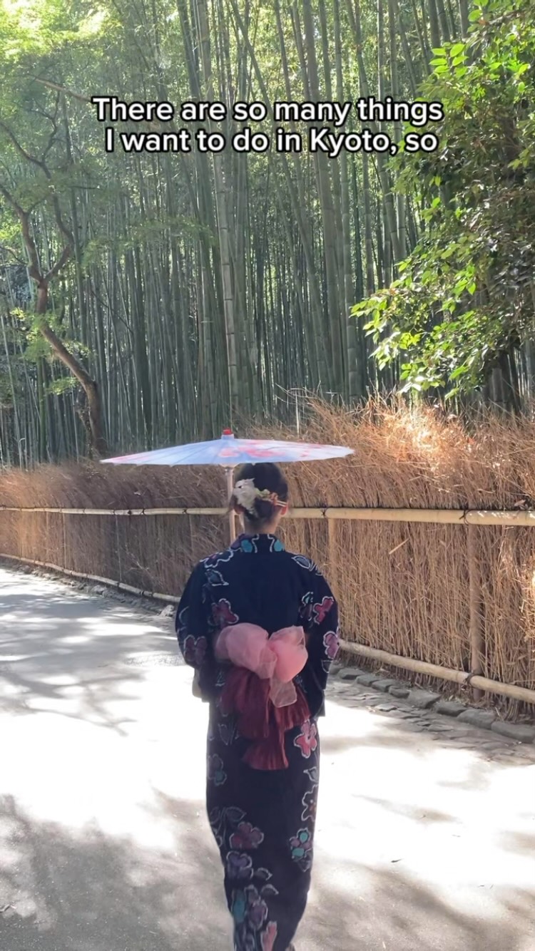Kyoto Landmarks and Secondhand Kimono Shops