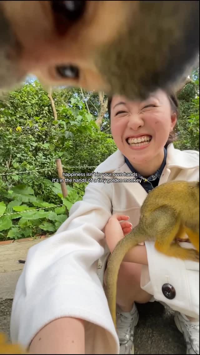 Okinawa's Traditional Ryukyuan Village Experience