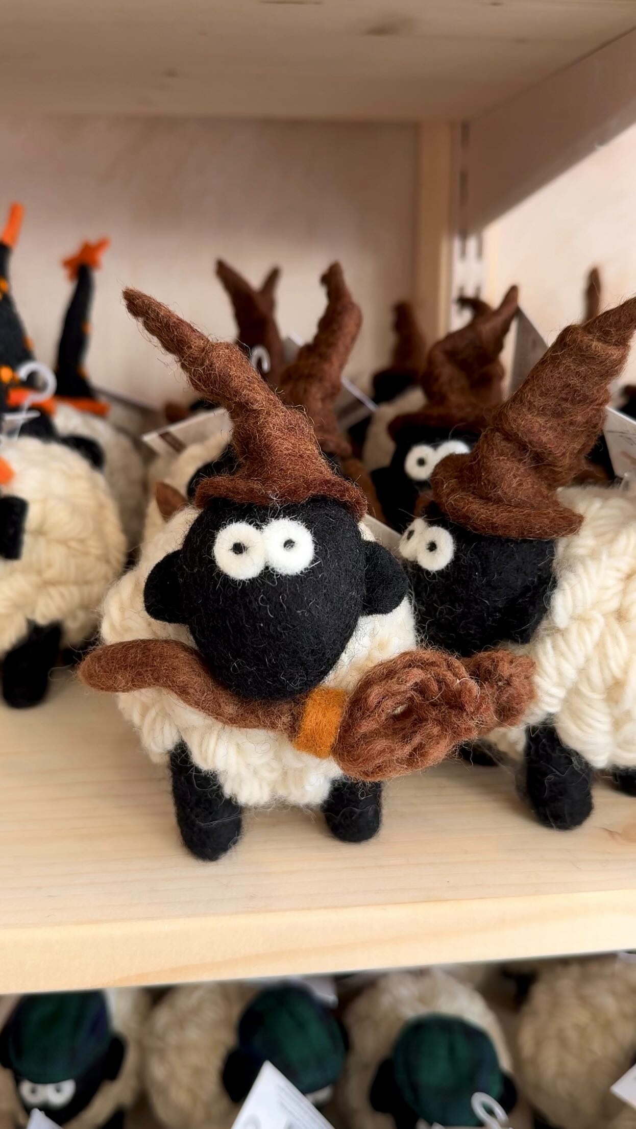 Edinburgh Sheep Shop Offers All Sheep Needs