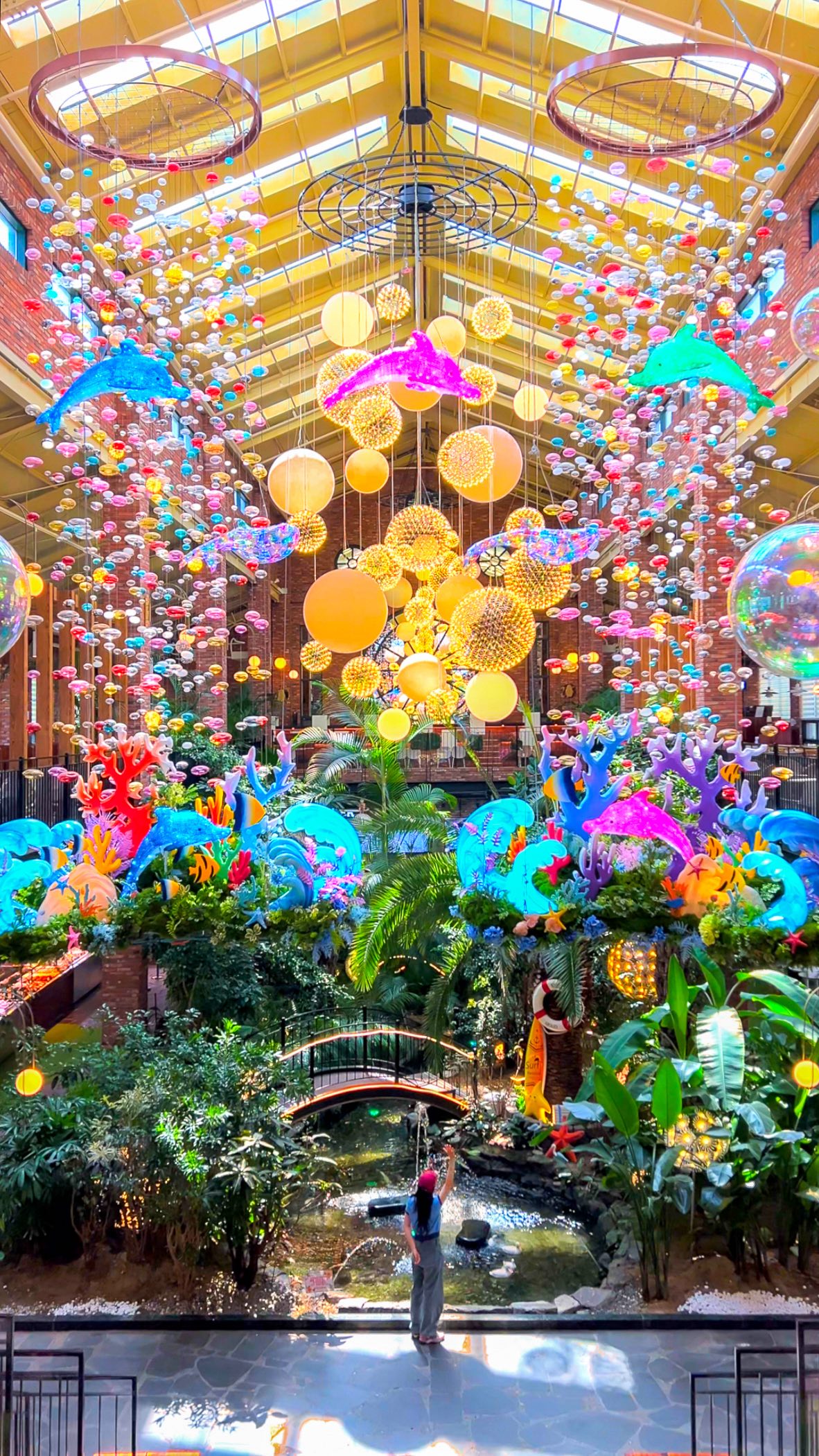 Forest Outings Cafe Transforms Into Underwater Wonderland