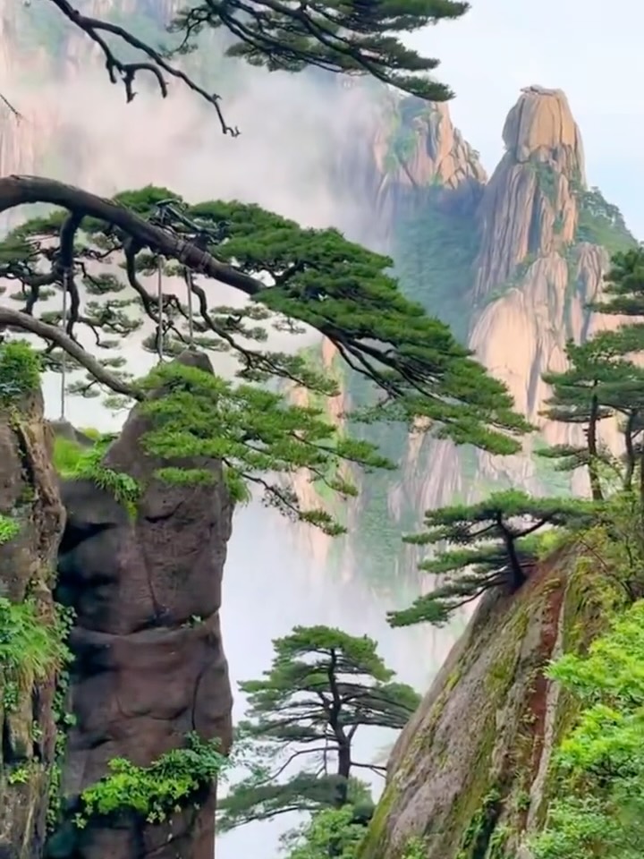 Huangshan Mountain's Natural Wonders and Cultural Heritage