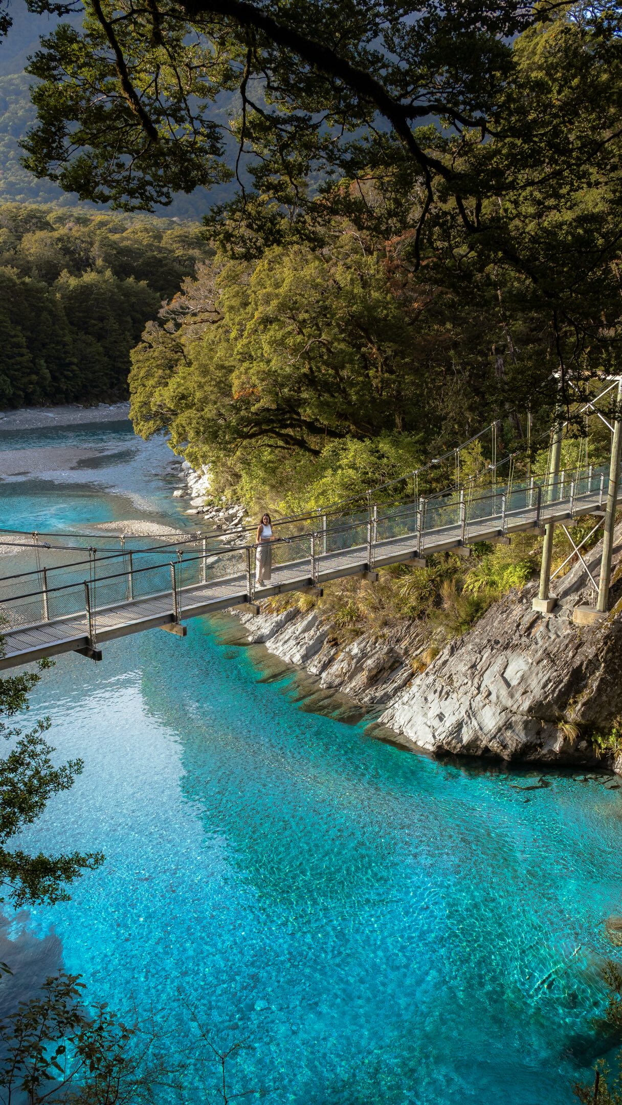 Haast Pass's Blue Pools: Crystal Waters Walk
