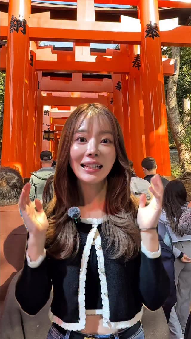 Kyoto Shrines And Temples Explained For Visitors