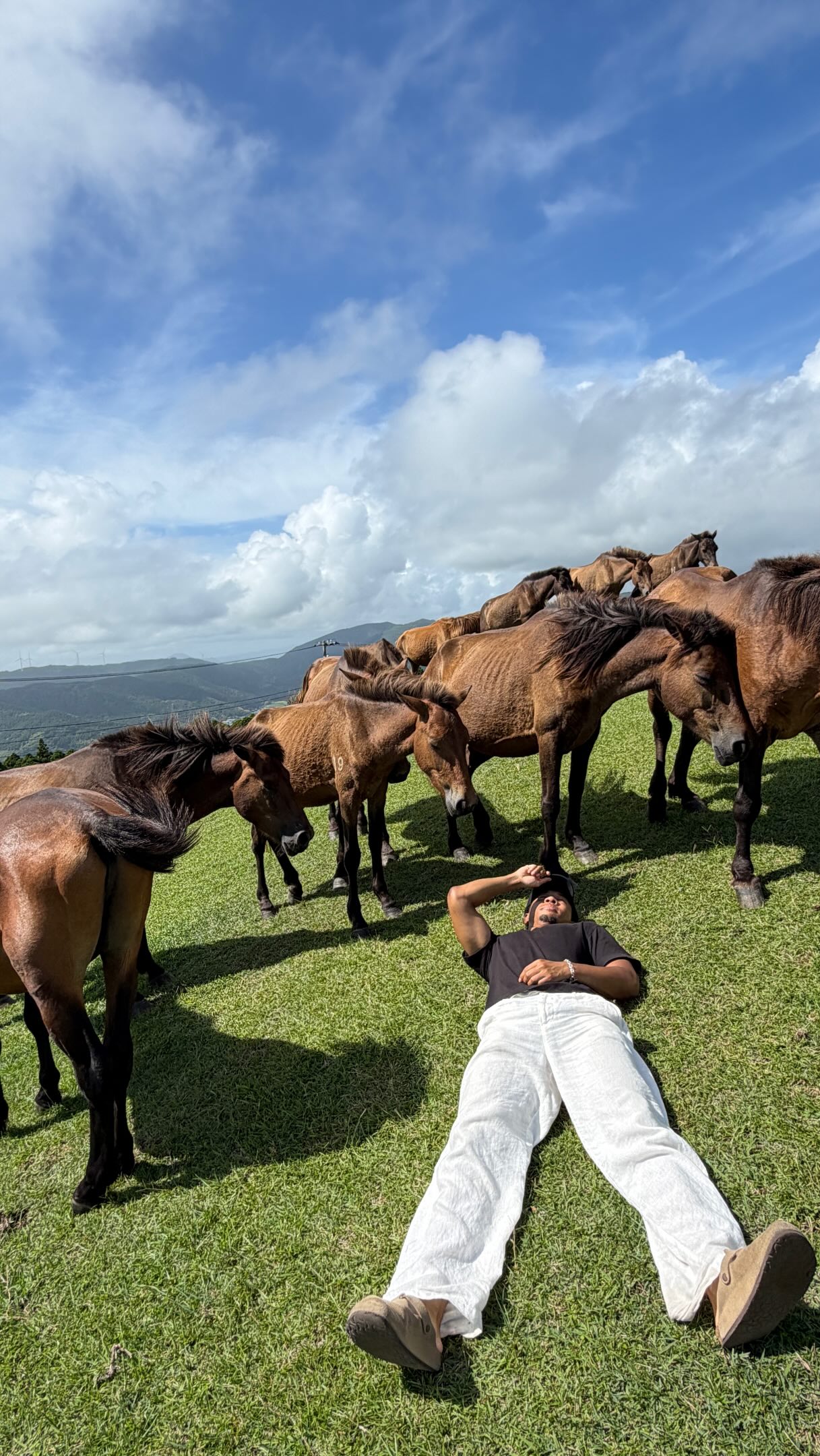 Miyazaki's Tropical Wonders: Mangoes, Anime, and Wild Horses