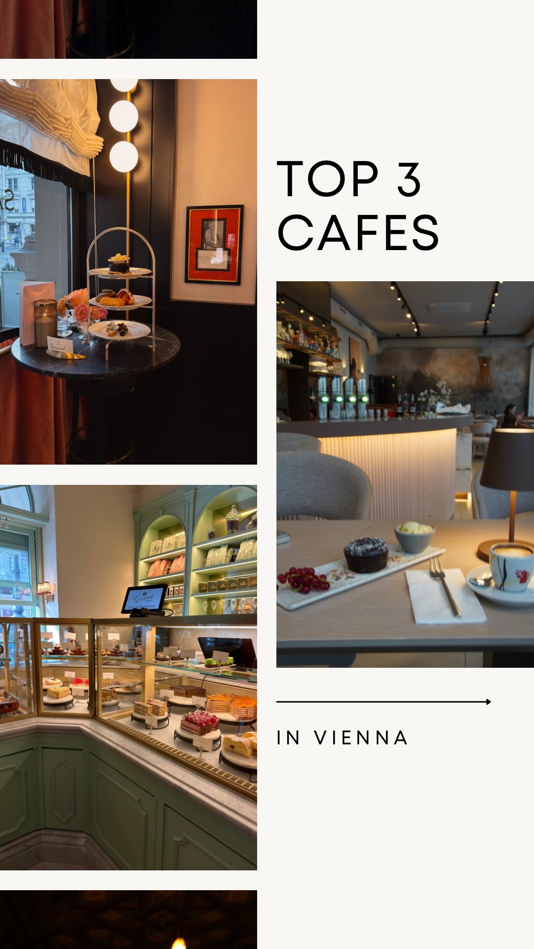 Vienna's Top Cafes: Historic and Modern Havens