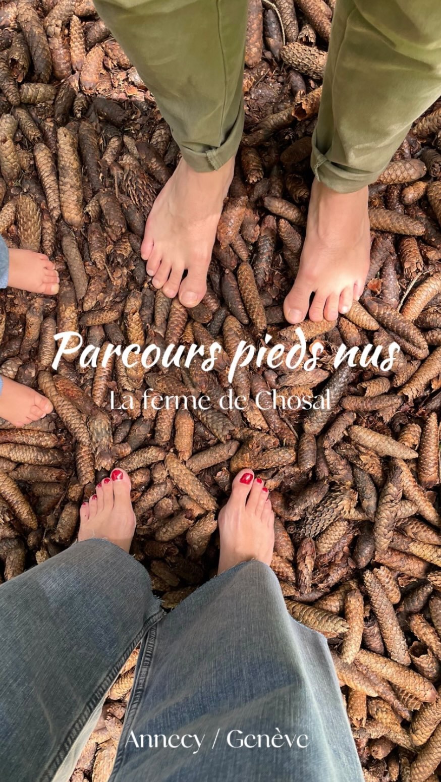 Farm Chosal: Sensory Forest Trail Near Geneva
