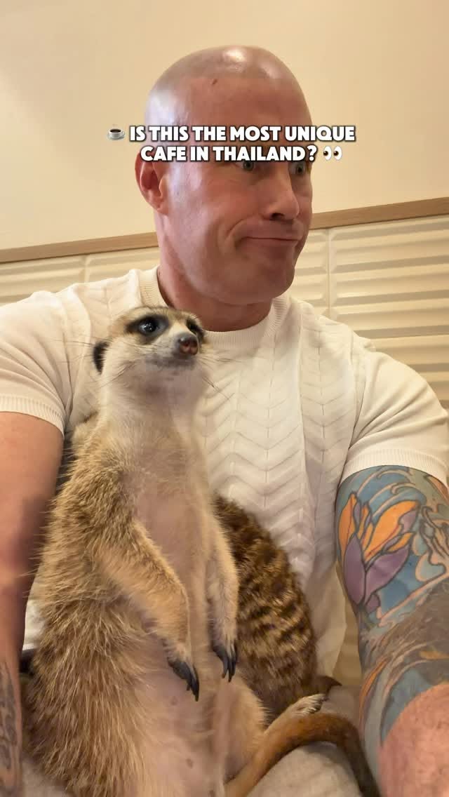 Bangkok Cafe Offers Animal Encounters With Coffee