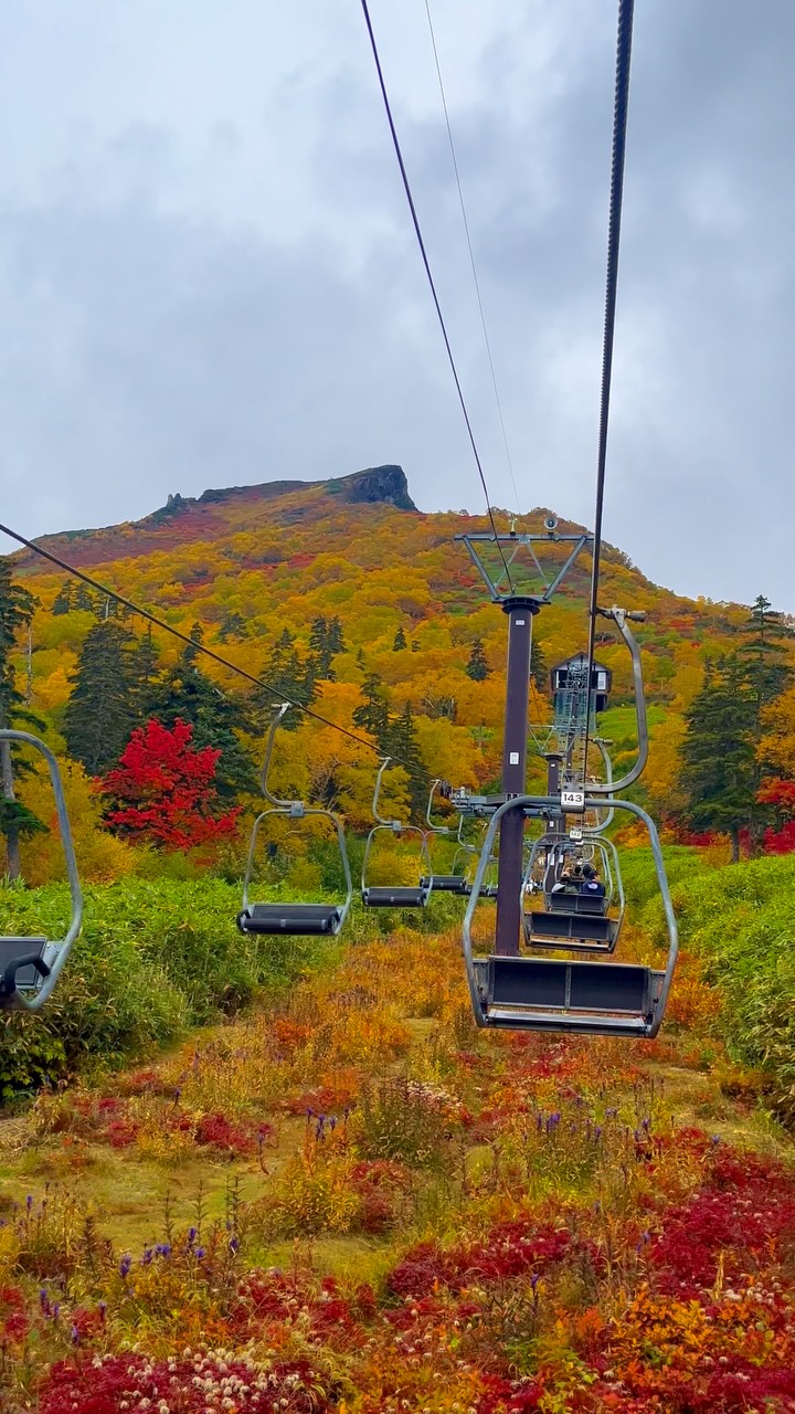 Hokkaido's Daisetsuzan National Park Autumn Foliage
