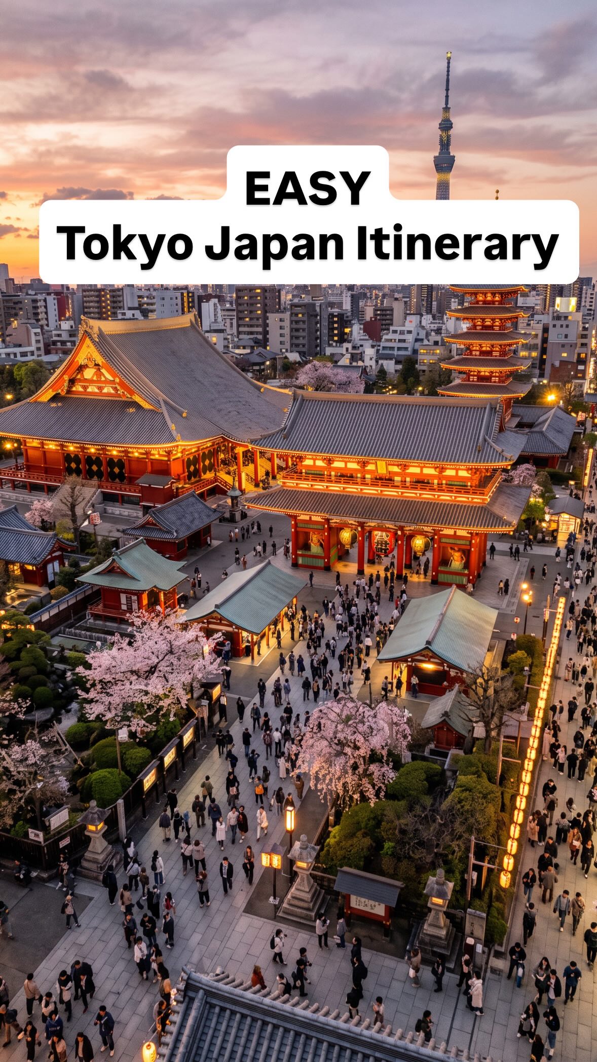 Tokyo's Iconic Landmarks and Cultural Sites