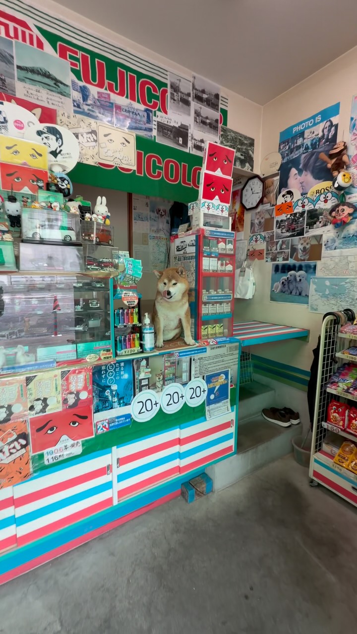 Fukuoka Souvenir Shop With A Welcoming Dog