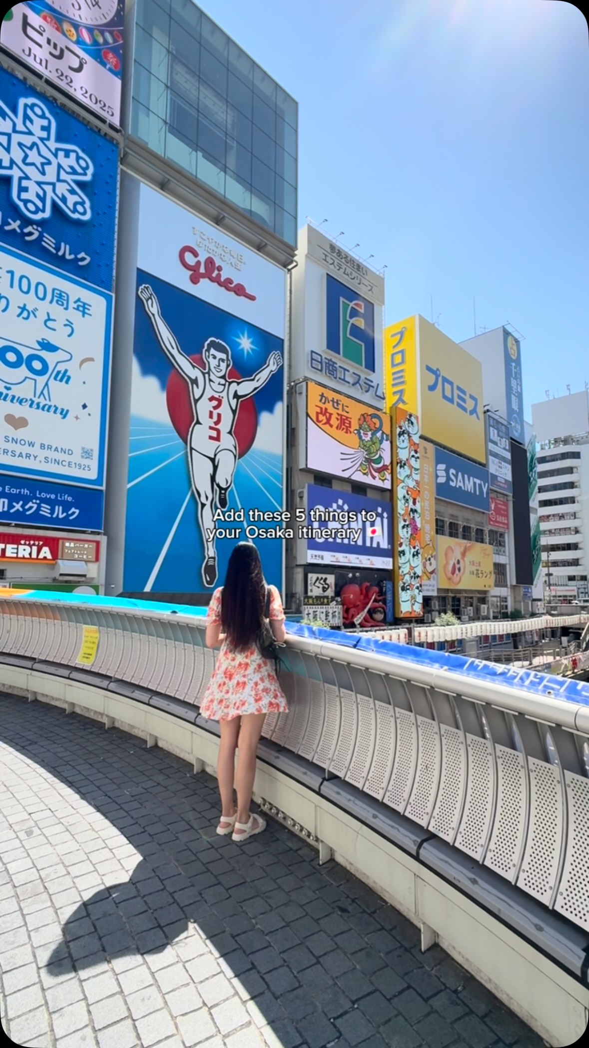 Osaka's Temples, Districts, and Entertainment Hubs
