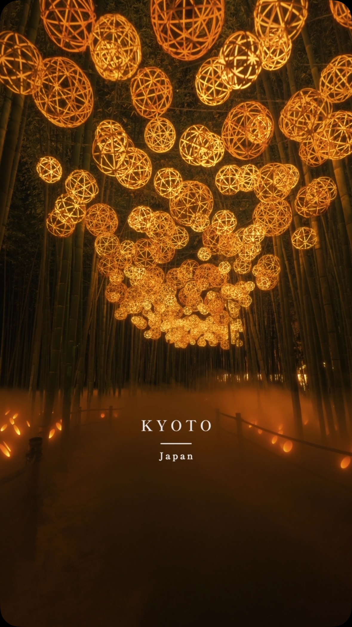 Arashiyama Bamboo Forest's Illuminated Evening Glow