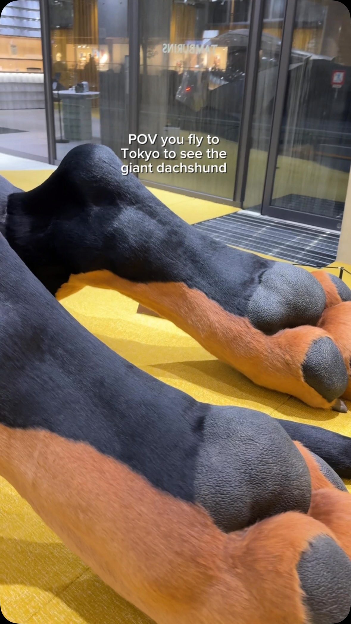 Tamburins Store In Daikanyama