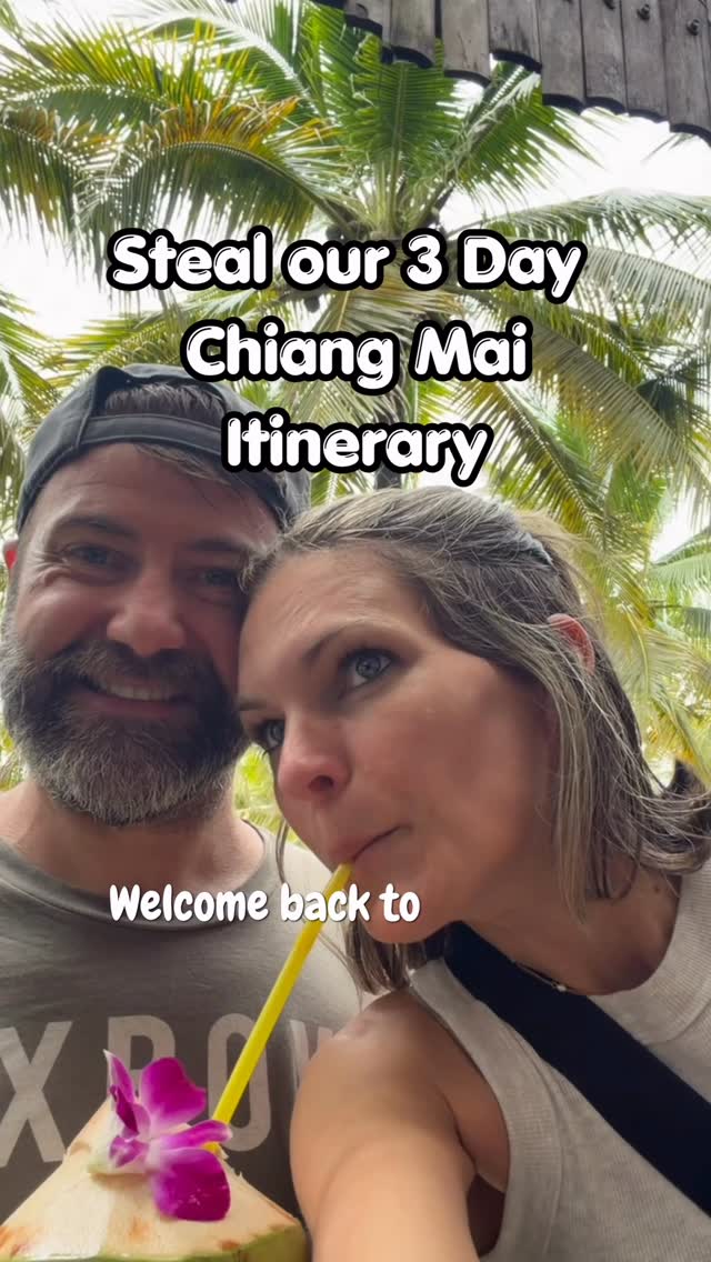 Chiang Mai Adventures: Elephants, Temples, Markets, and Food