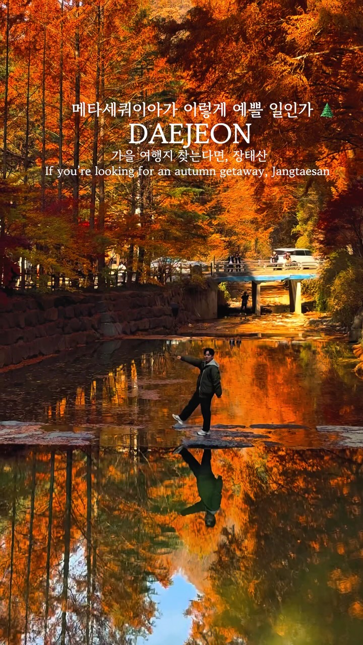 Jangtaesan Natural Recreation Forest Autumn Colors