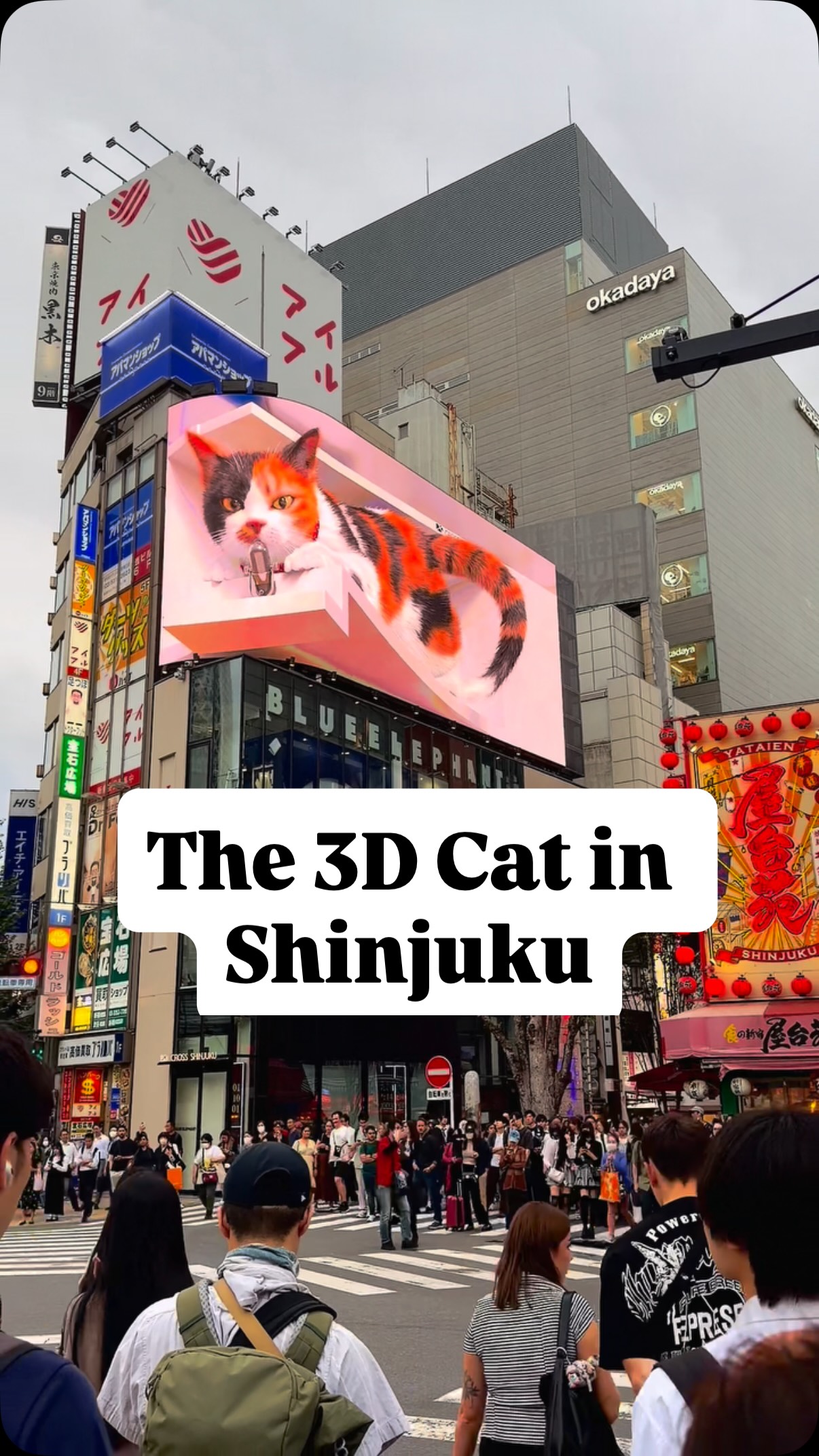 Massive 3D Cat Ad At Shinjuku Station