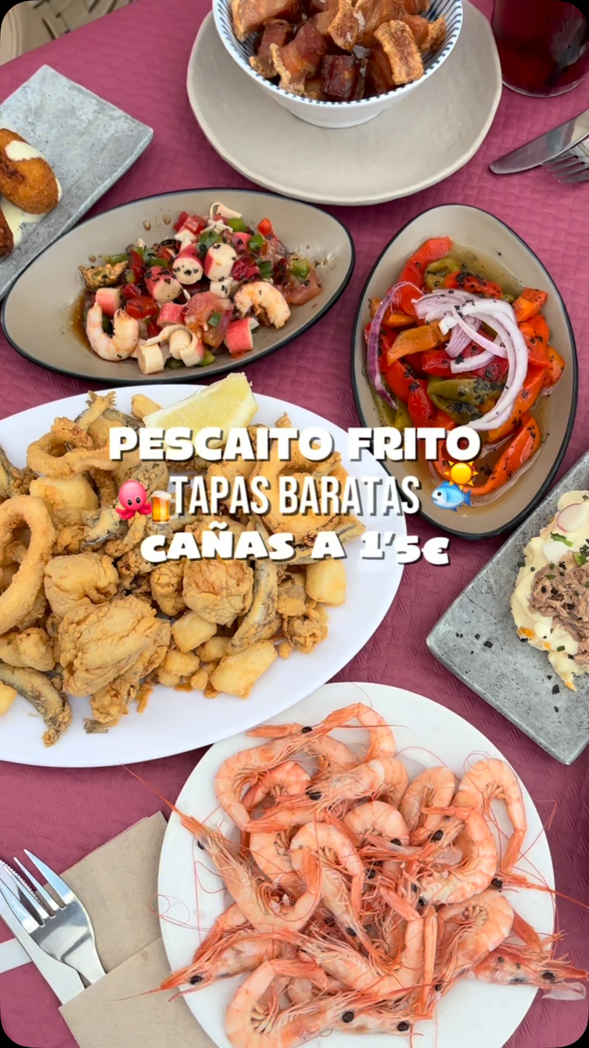 Affordable Tapas in Málaga Centro
