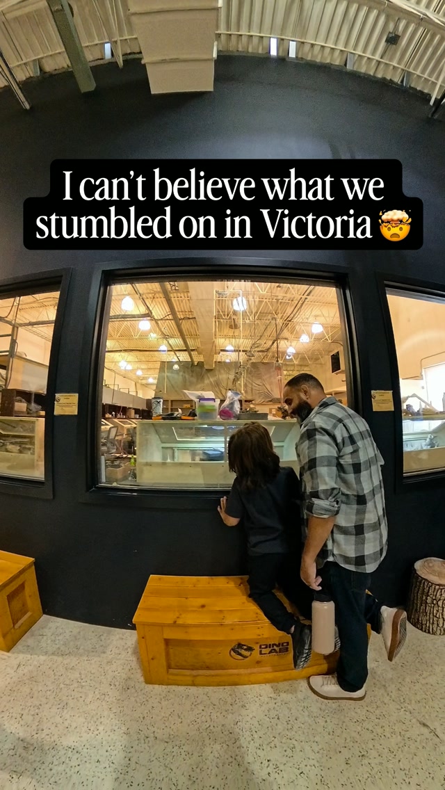 Victoria's Dino Lab: Interactive Fossil Experiences
